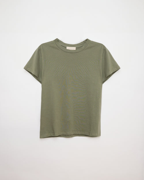 T Shirt Cesar Kaki 15