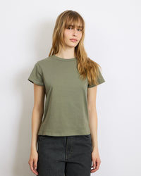 T Shirt Cesar Kaki 15