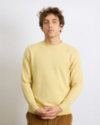 New Virgile Sun 21
