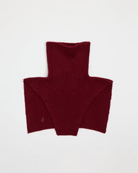 Plastron Wine 21