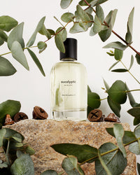 Eau de Parfum Eucalyptic - 1 - Alexandra Golovanoff