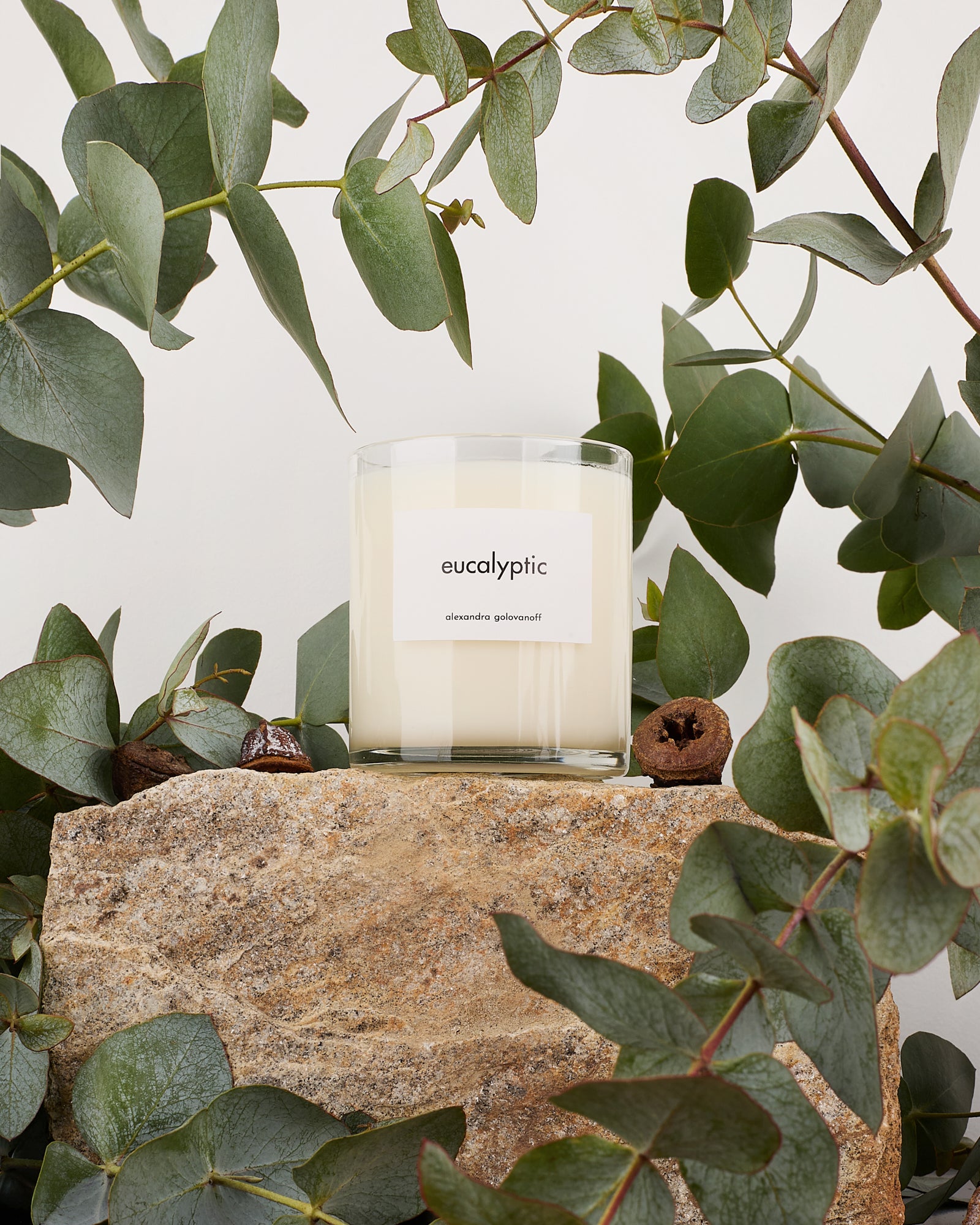 Bougie Eucalyptic - 1 - Alexandra Golovanoff