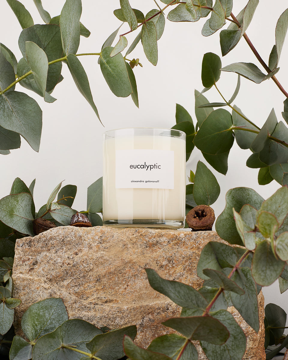 Bougie Eucalyptic - 1 - Alexandra Golovanoff