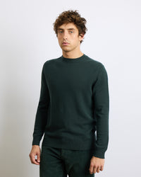 Virgile Man Light Sapin 21