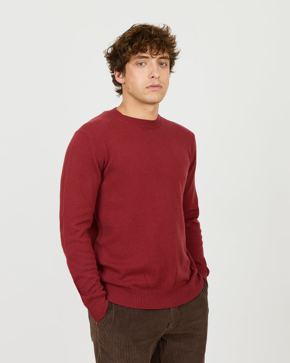 Virgile - Pull homme fin en 100% cachemire - 1 - Alexandra Golovanoff
