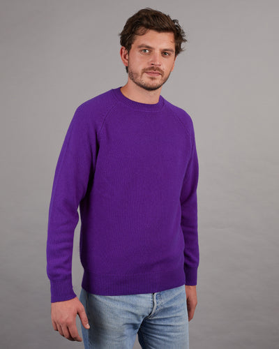 Milo Man purple 15