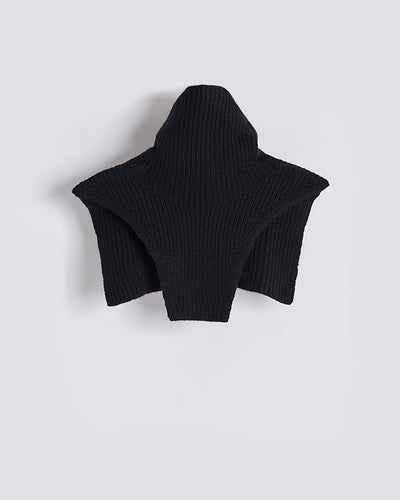 Plastron black